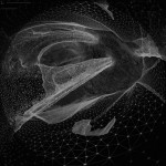 nimbes-6