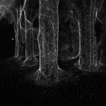 nimbes-8