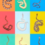 z-snakes-1 z-snakes-1