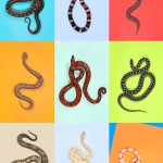 z-snakes-3 z-snakes-3