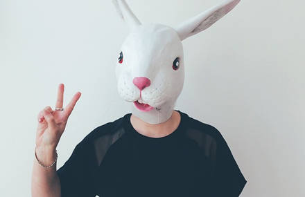 The Rabbit Project