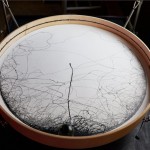 Artwork in Train made by the Land2