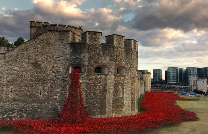 Ceramic Poppies in Tower of London