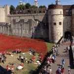 Ceramic Poppies in Tower of London10