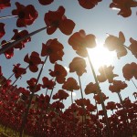 Ceramic Poppies in Tower of London2