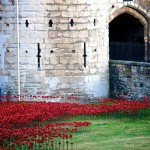 Ceramic Poppies in Tower of London3