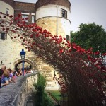 Ceramic Poppies in Tower of London5