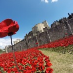 Ceramic Poppies in Tower of London6
