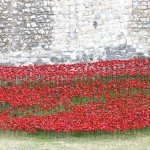 Ceramic Poppies in Tower of London7