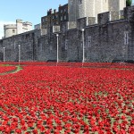 Ceramic Poppies in Tower of London8