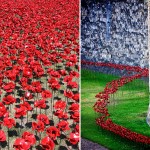 Ceramic Poppies in Tower of London9