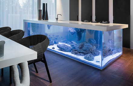 Modern Kitchen with Aquarium