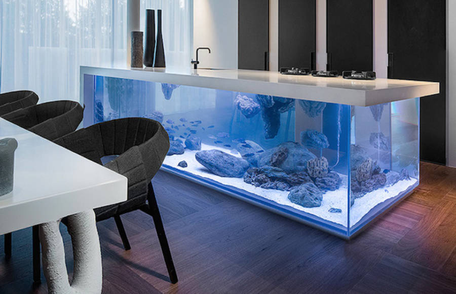 Modern Kitchen with Aquarium