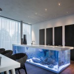 Modern Kitchen with Aquarium2