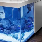 Modern Kitchen with Aquarium3