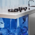 Modern Kitchen with Aquarium4