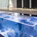 Modern Kitchen with Aquarium5