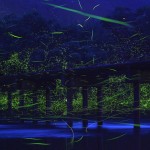 Natural Lights in Japan1