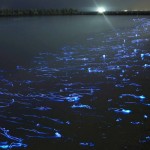 Natural Lights in Japan3