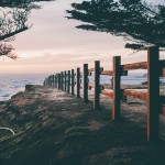 Phil Stockbridge Photography5