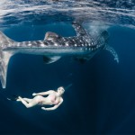 Roberta Mancino Diving Photography1