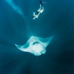 Roberta Mancino Diving Photography10
