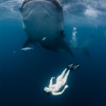 Roberta Mancino Diving Photography15