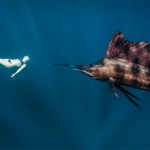 Roberta Mancino Diving Photography16