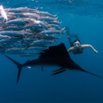 Roberta Mancino Diving Photography3