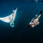 Roberta Mancino Diving Photography4