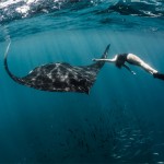 Roberta Mancino Diving Photography5