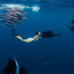 Roberta Mancino Diving Photography9