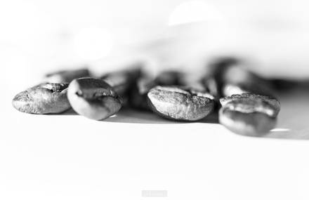 Bunna | The Coffee