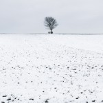 10-Silent Nature Landscapes