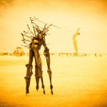 14-Burning Man 2014