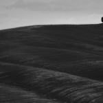 14-Silent Nature Landscapes