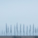 15-Silent Nature Landscapes
