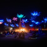 17-Burning Man 2014