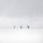 9-Silent Nature Landscapes