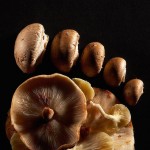 Aaron Tilley Food design-2