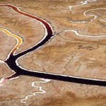 Abstract Nature Patterns-10