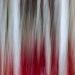 Abstract Nature Patterns-11