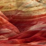 Abstract Nature Patterns-4