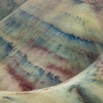 Abstract Nature Patterns-7