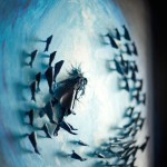 Amazing 3D Paintings Sculptures-3