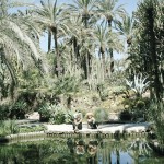 Anais_Boileau_Plein_Soleil_0