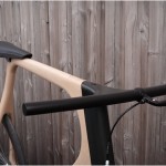 Arvak Bicycle-5