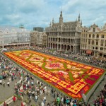 Brussels-Flower-Carpet-1