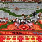 Brussels-Flower-Carpet-2