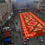 Brussels-Flower-Carpet-3